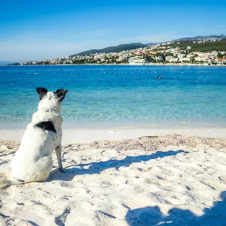 Apartamento Vintage Dramalj, Pool Self-use Dramalj