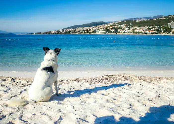 Apartament Vintage Dramalj, Pool Self-use Dramalj